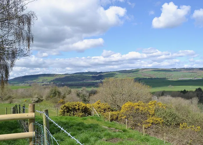 Callow Lodge